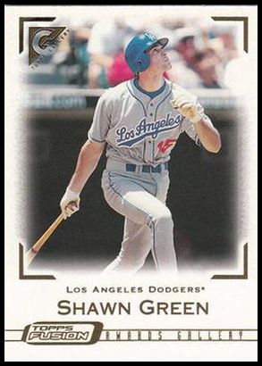 238 Shawn Green